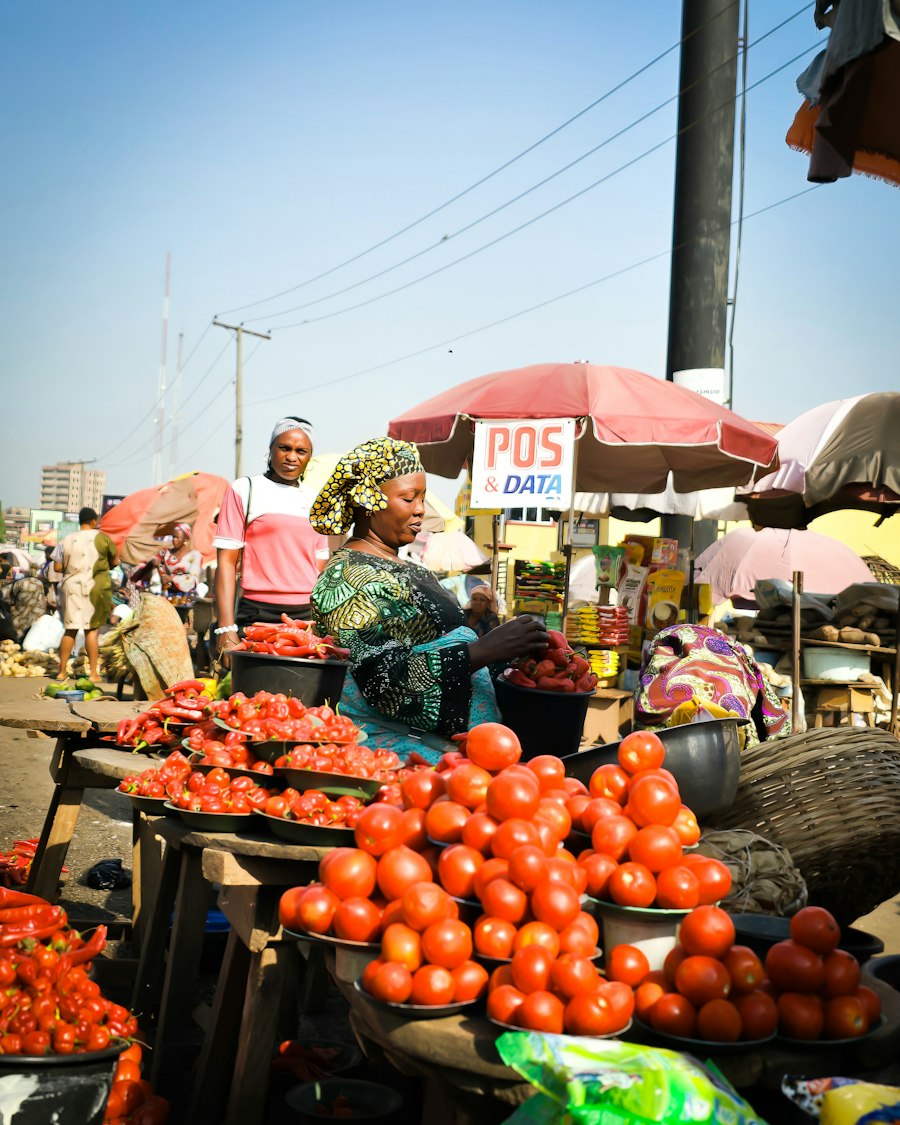 Vendors and shoppers at Bodija Market, Ibadan, Nigeria